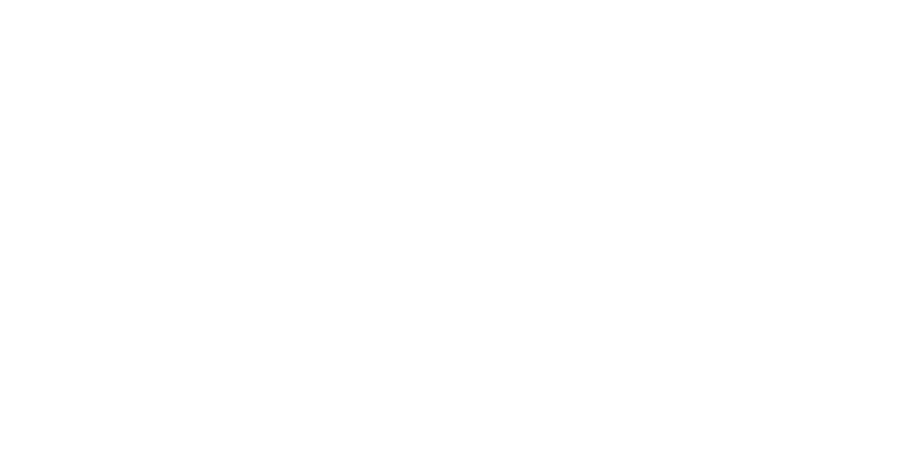 safe_logo_white